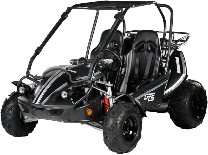 Hammerhead Off-Road GTS 150™