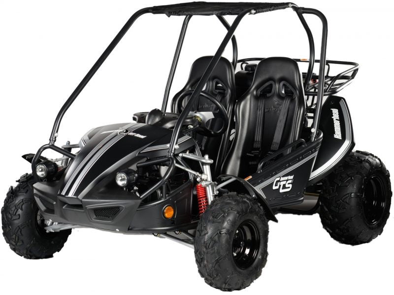 Hammerhead Off-Road GTS 150™