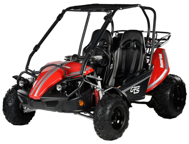 Hammerhead Off-Road GTS 150™