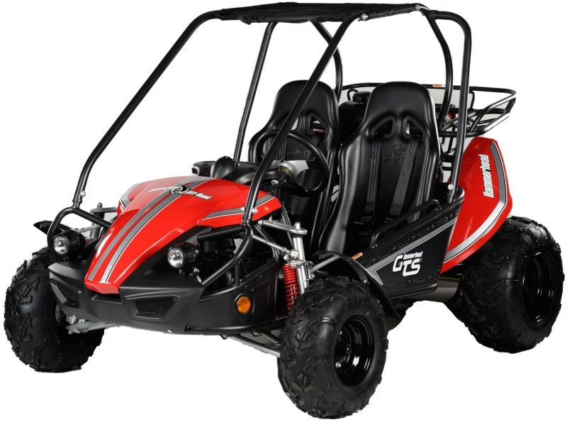 Hammerhead Off-Road GTS 150™