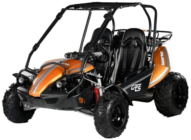 Hammerhead Off-Road GTS 150™