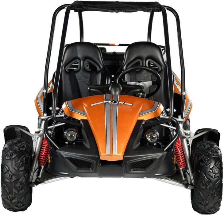 Hammerhead Off-Road GTS 150™